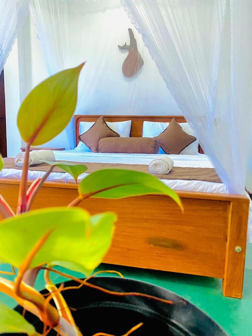 Serenity cottage