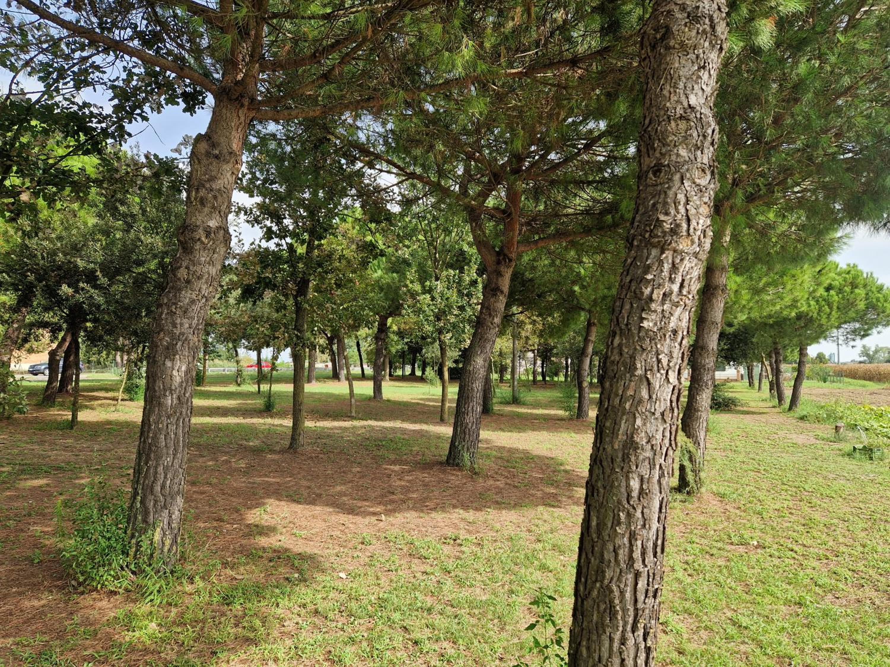 Photo 45