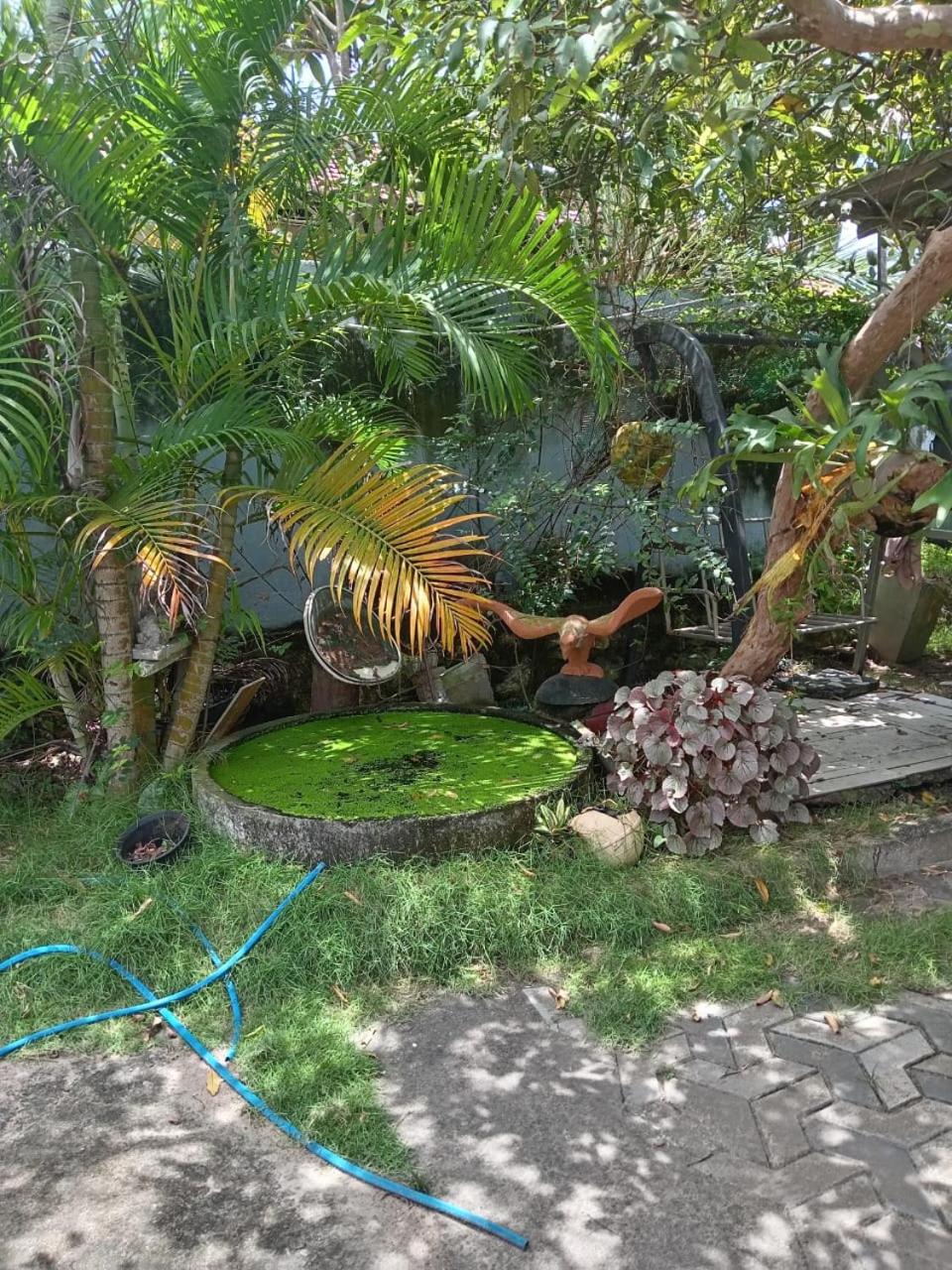 Freedom villa view 3