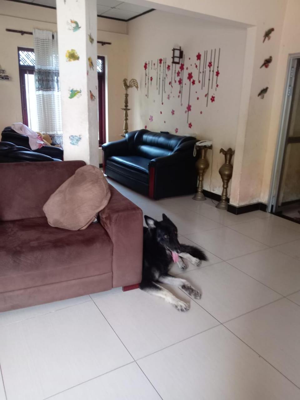 Photo 12