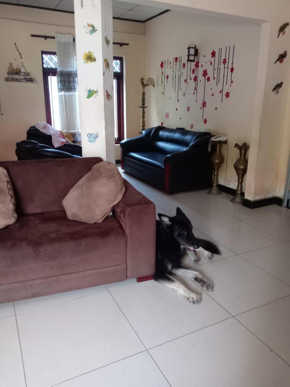 Photo 16
