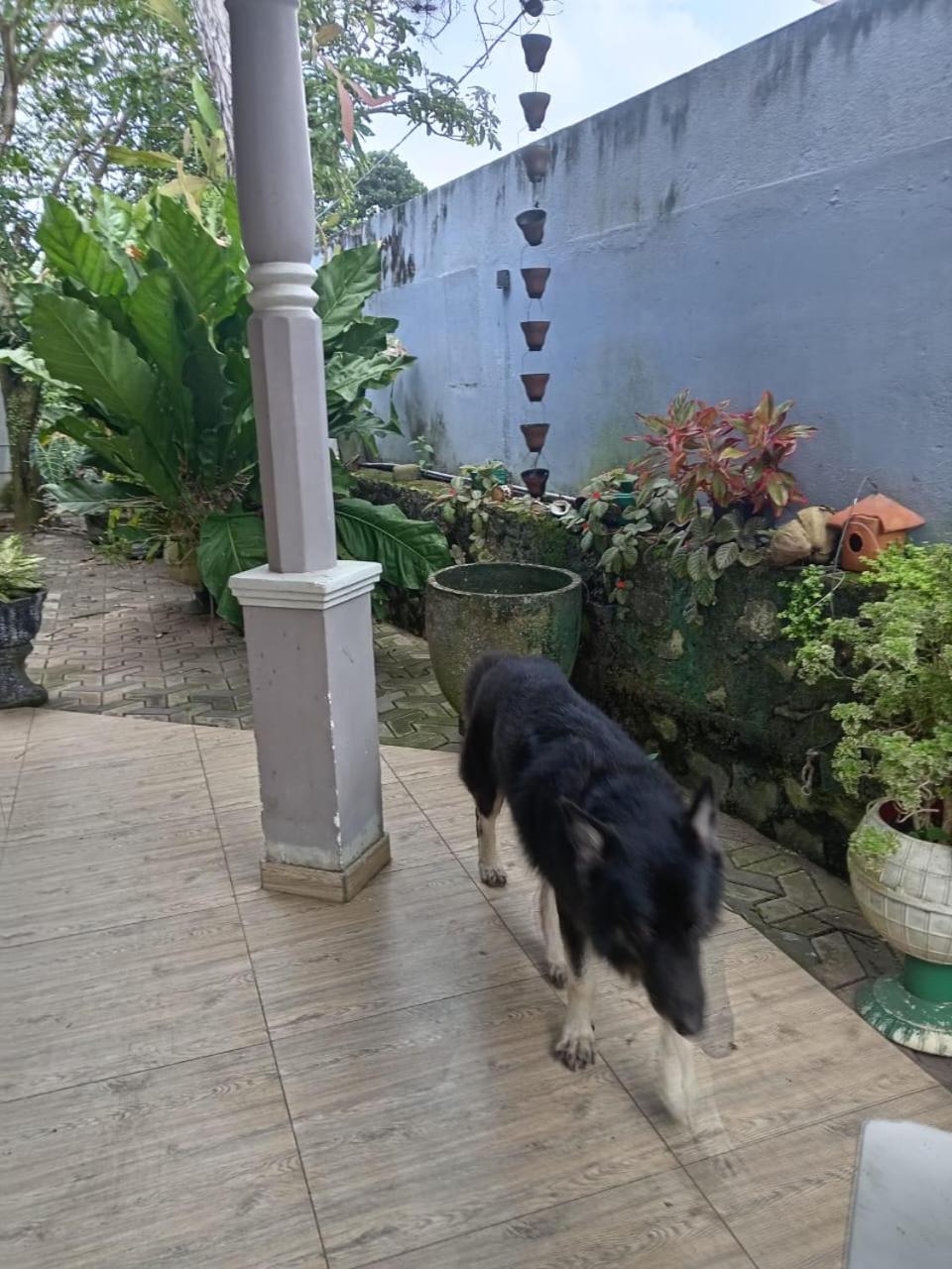 Photo 18