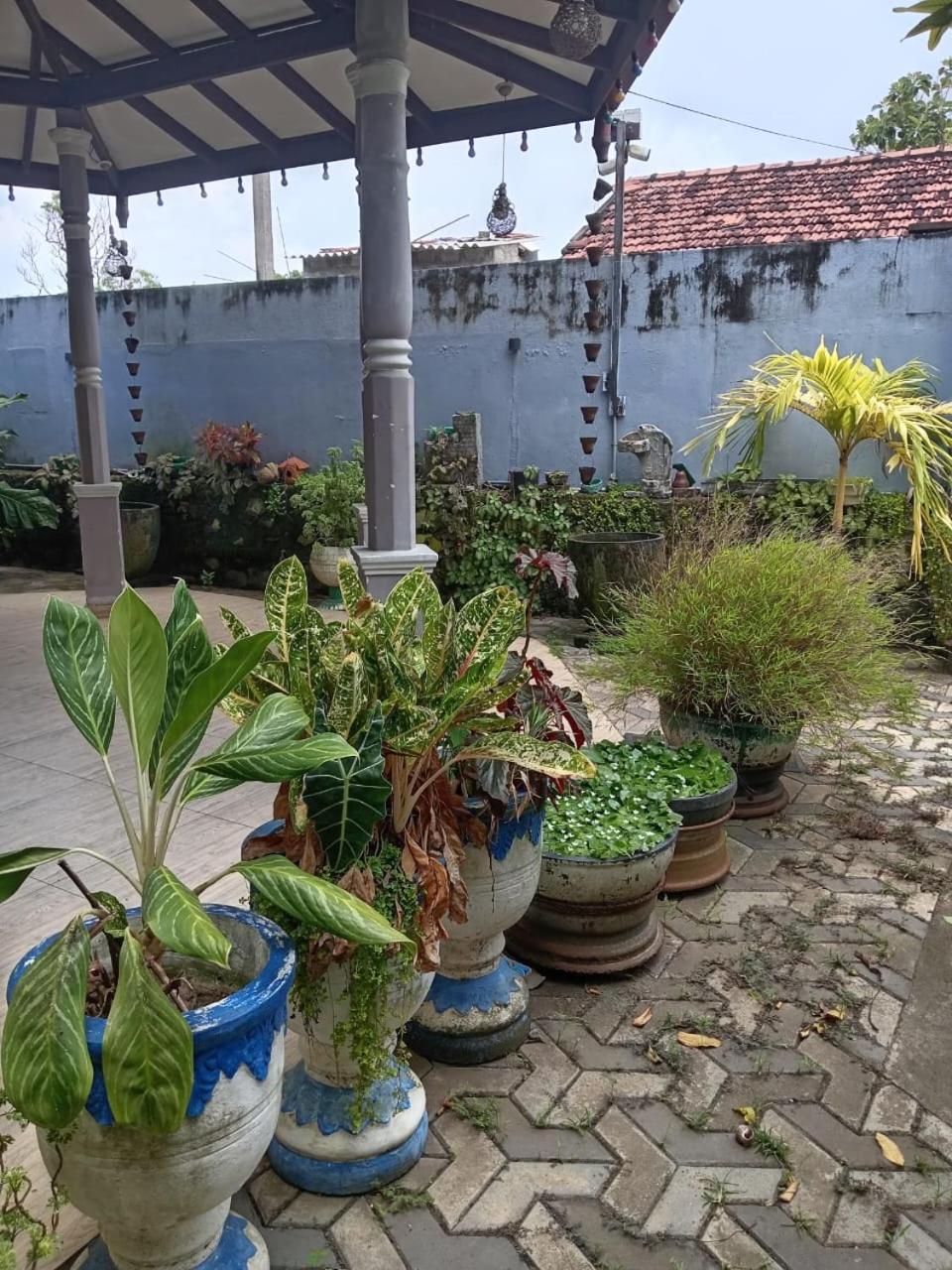 Photo 21