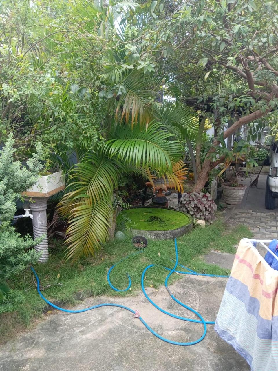 Photo 26