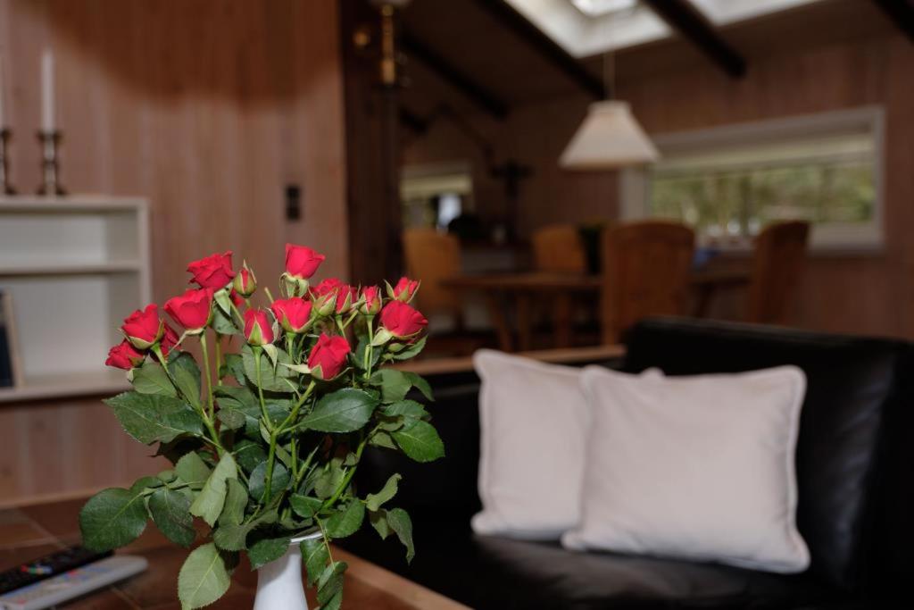 Well-Maintained Holiday Home On Private Natural Plot Just 200 Meters From Boeslum Beach view 3