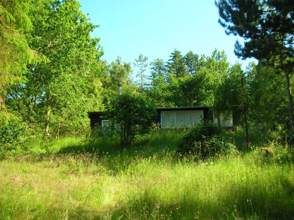 Photo 20