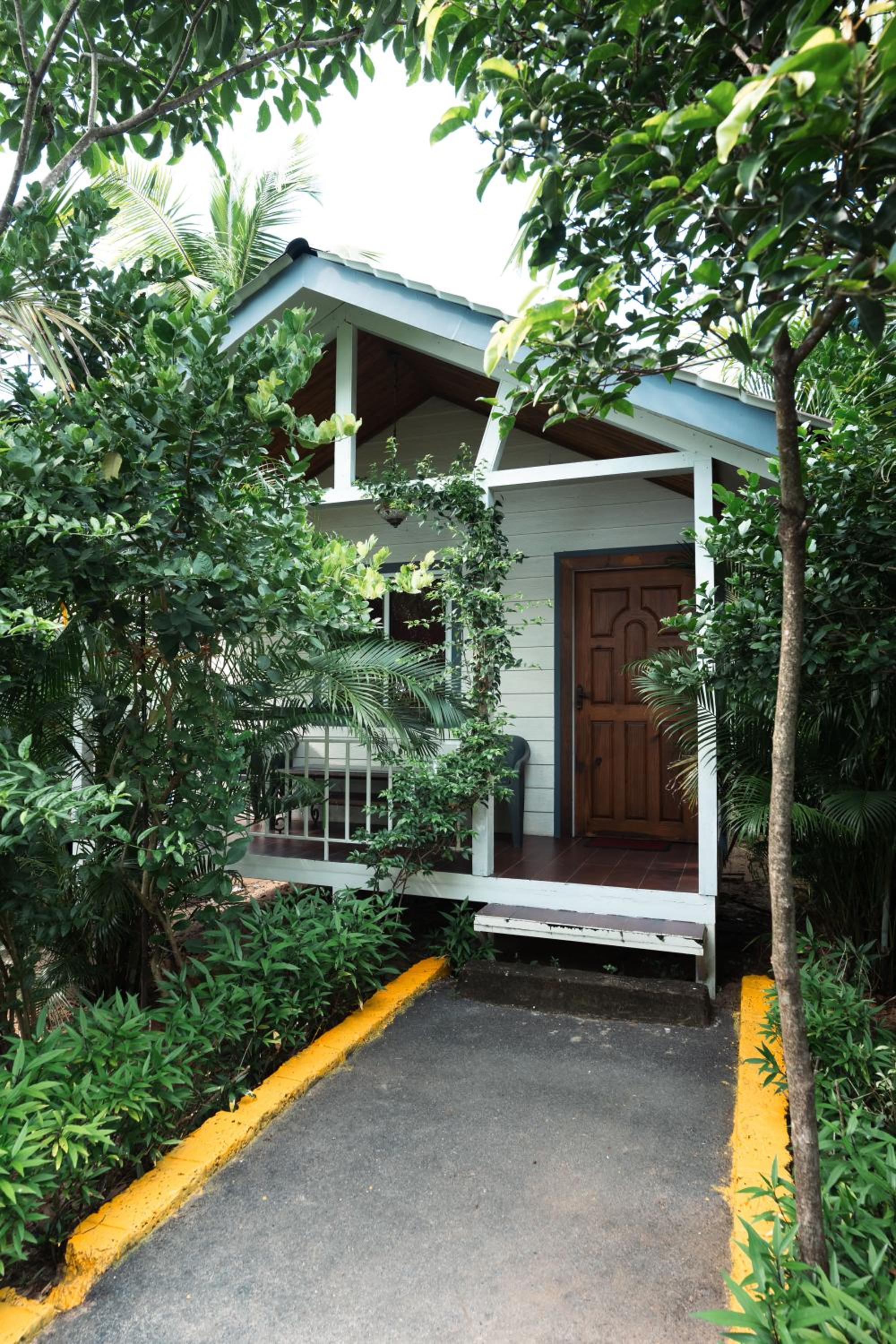 Photo 21