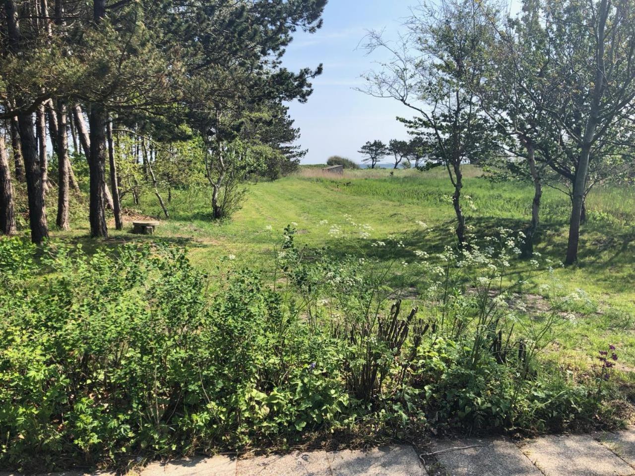 Awesome Home In Ebeltoft With 2 Bedrooms, Sauna And Internet