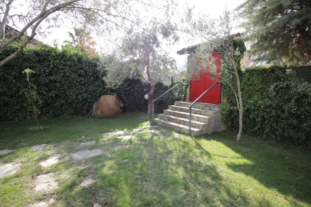 Photo 7