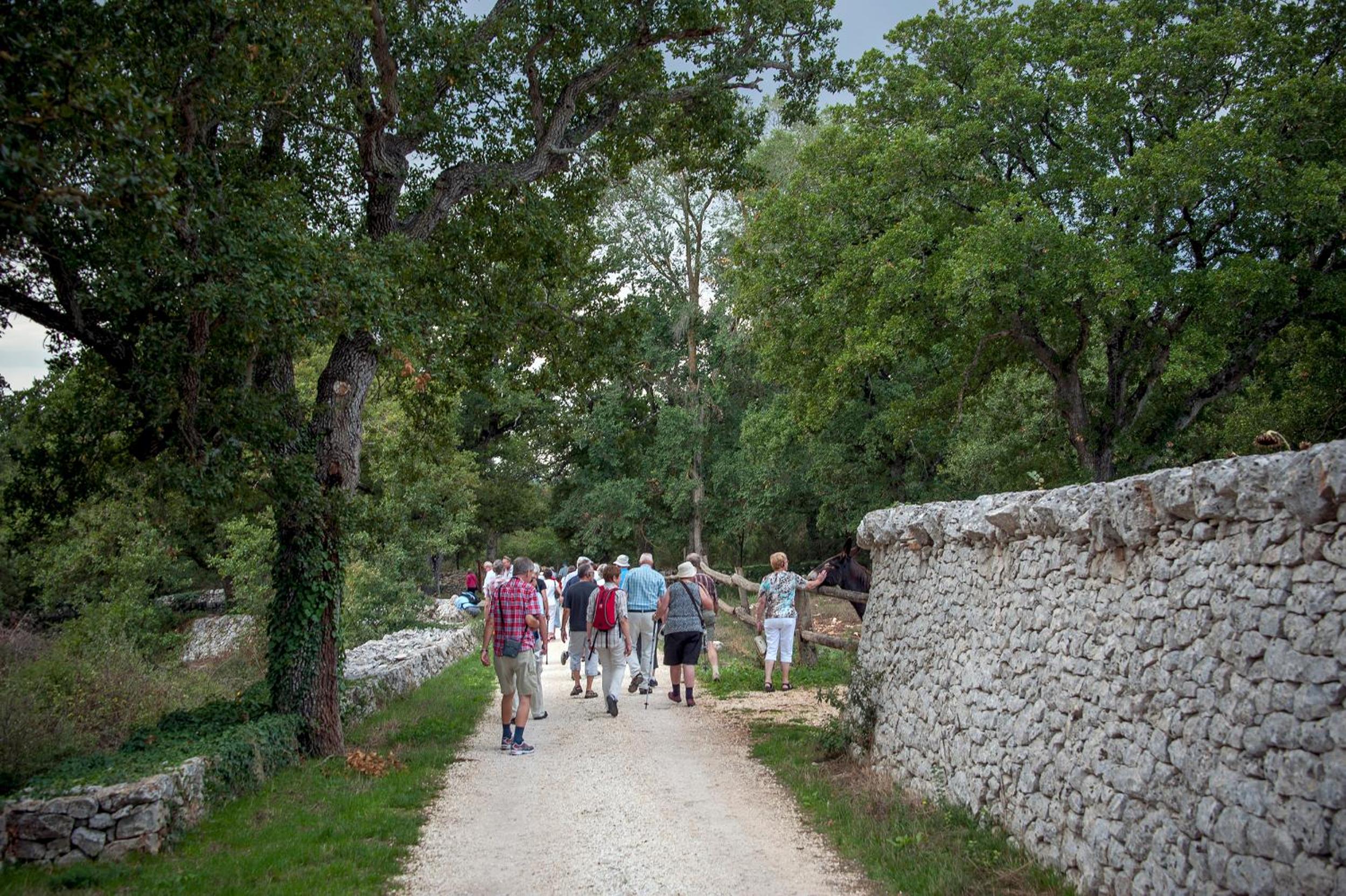 Masseria Ferri