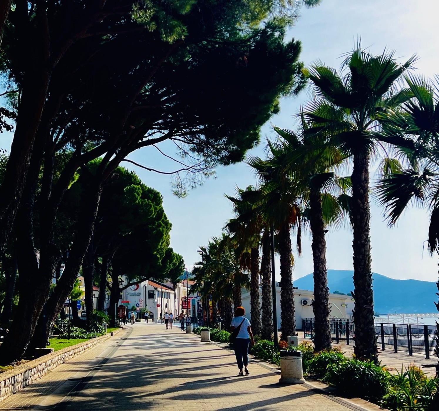 Lovely Promenade Studio in Central Igalo photo 4