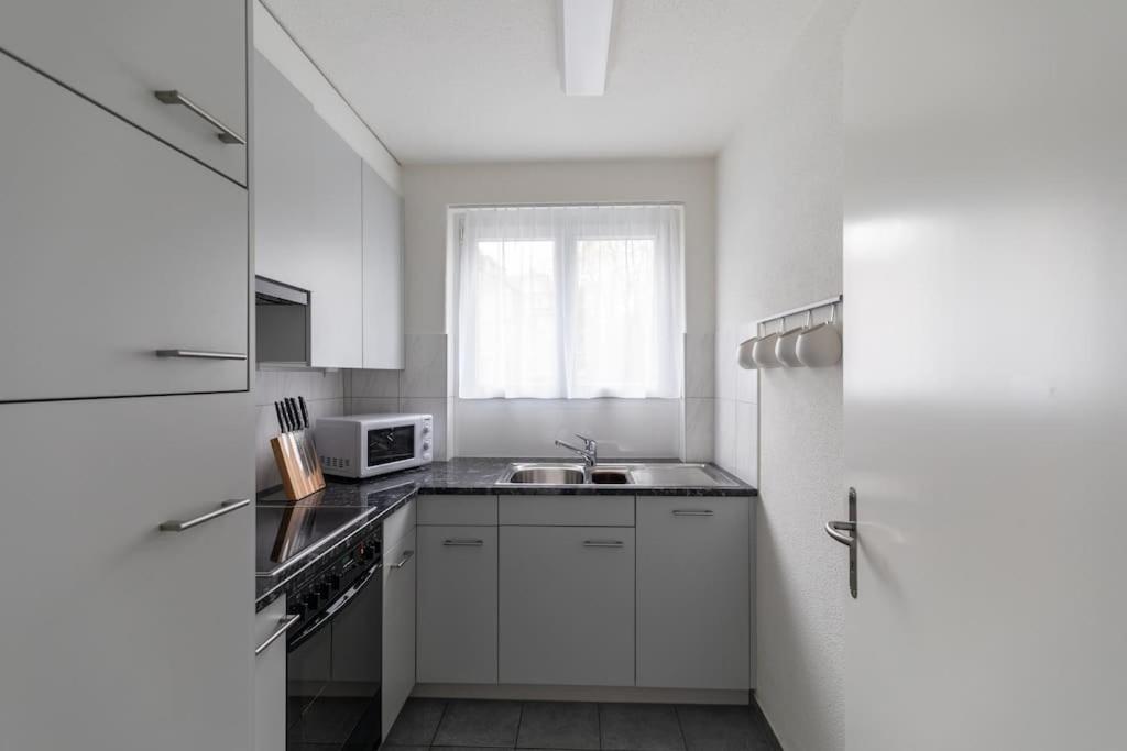 Terrific 1 BR flat city center and near lake - Dahlia 9