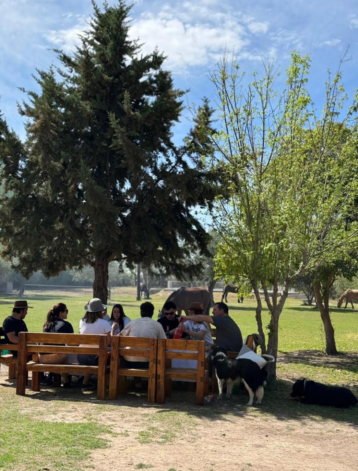 Cabañas La Cautiva