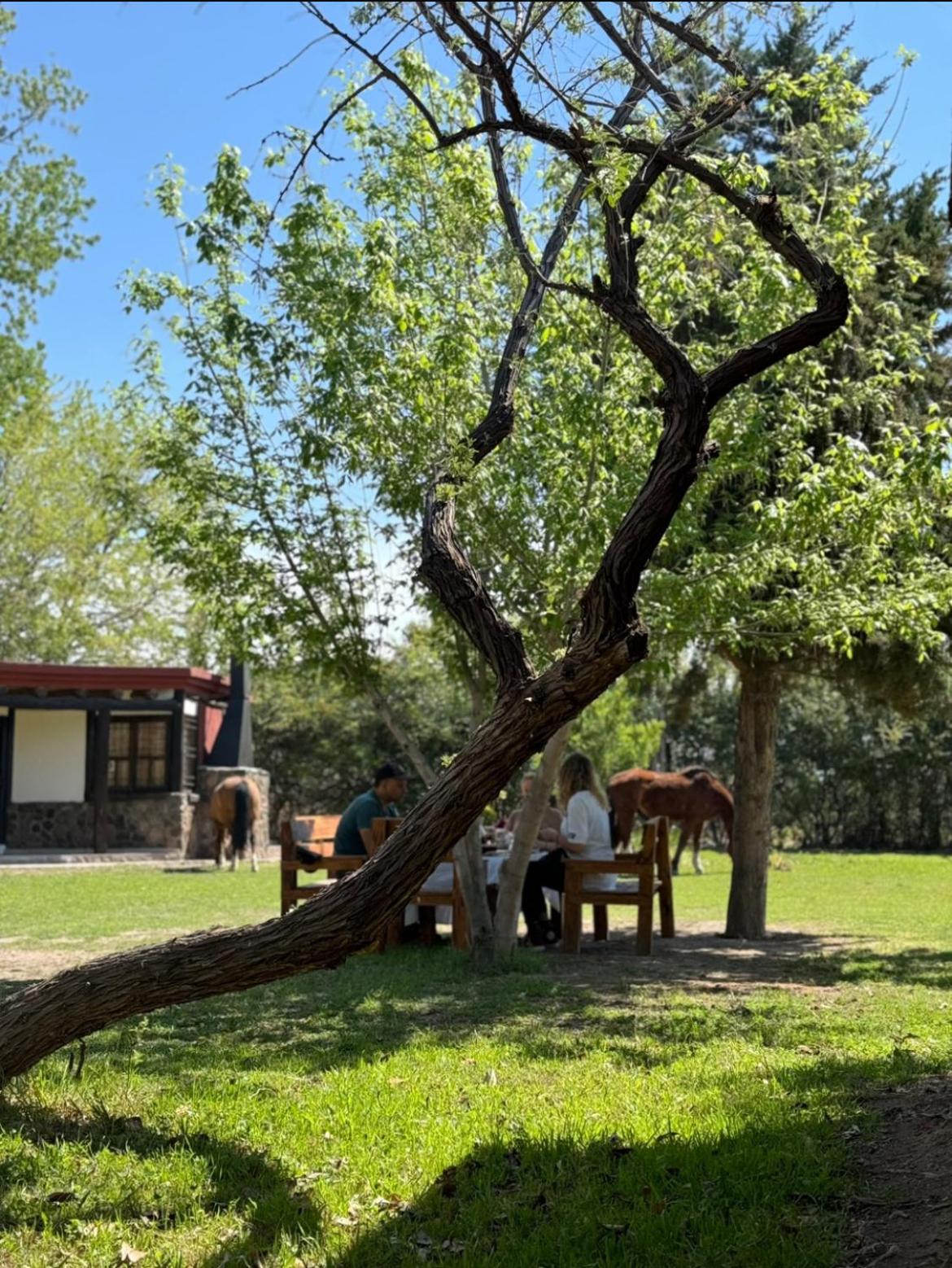 Cabañas La Cautiva
