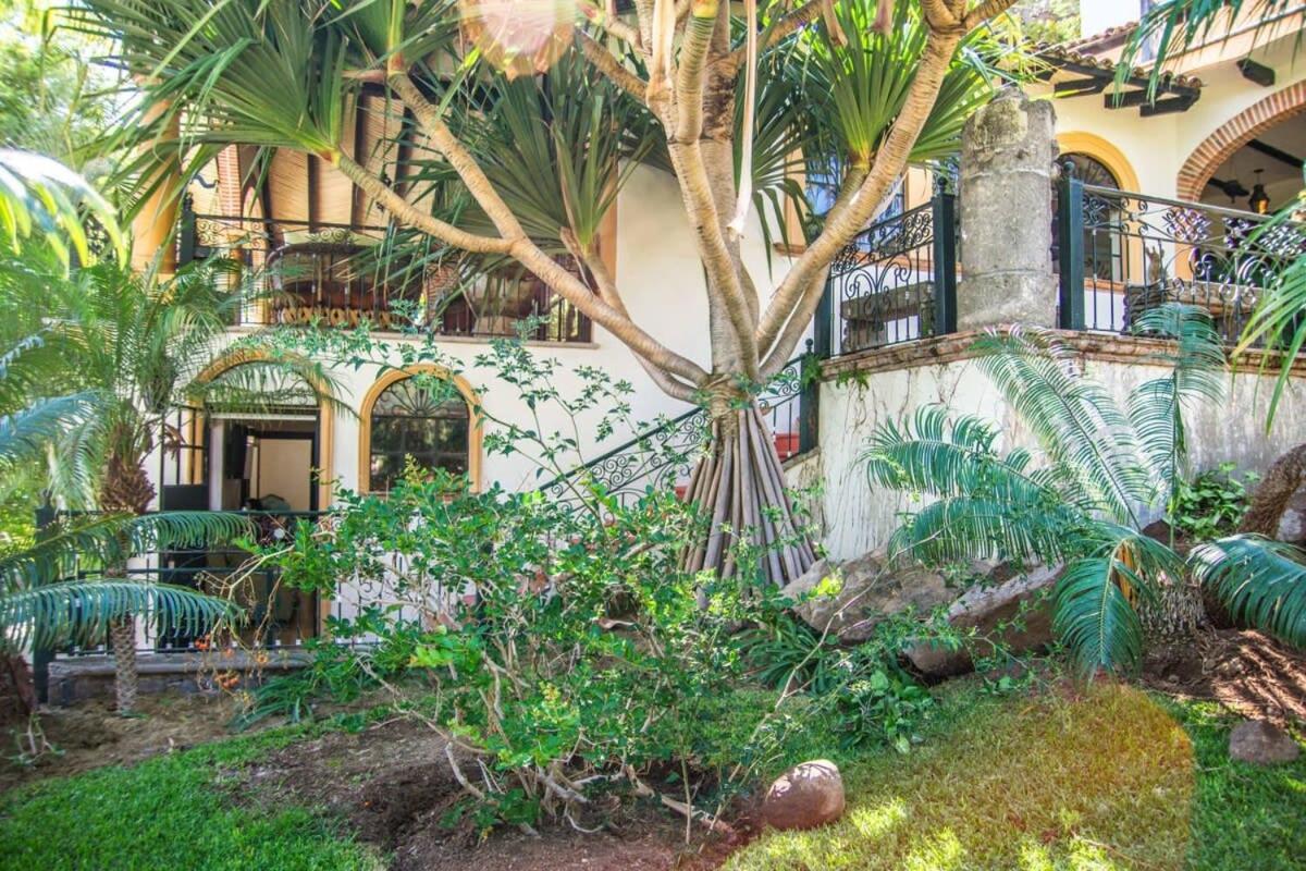 Casa Galeana- Tropical 1-BD 1-WC Mountain Top Luxury Suite with Stunning Views