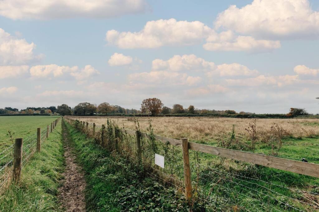 The Hayfield