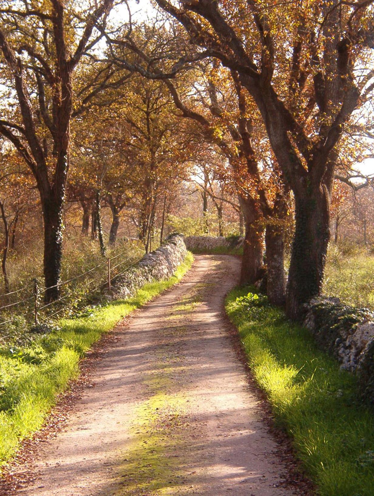 Masseria Ferri