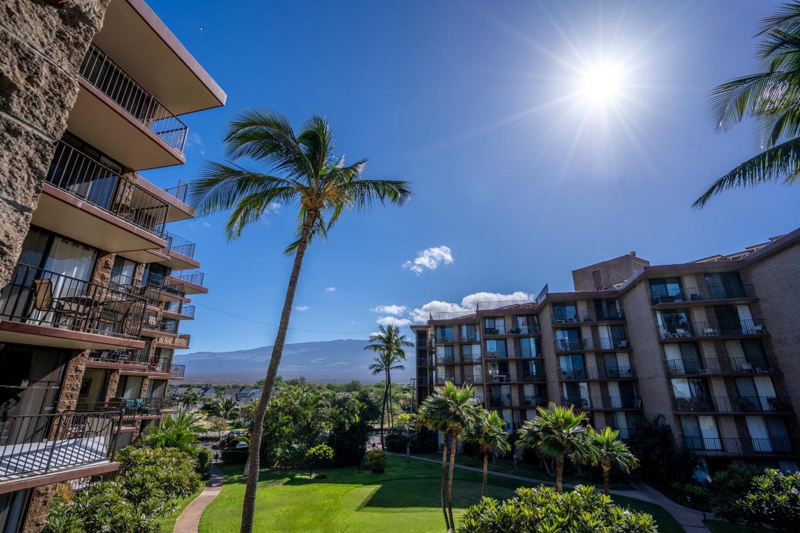 Hotel Deluxe Oceanside Resort Vistas - Image 1