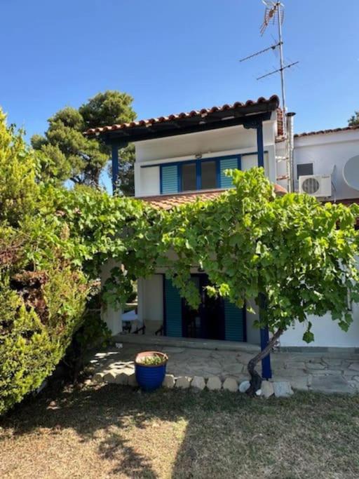 Paliouri Blue House view 2