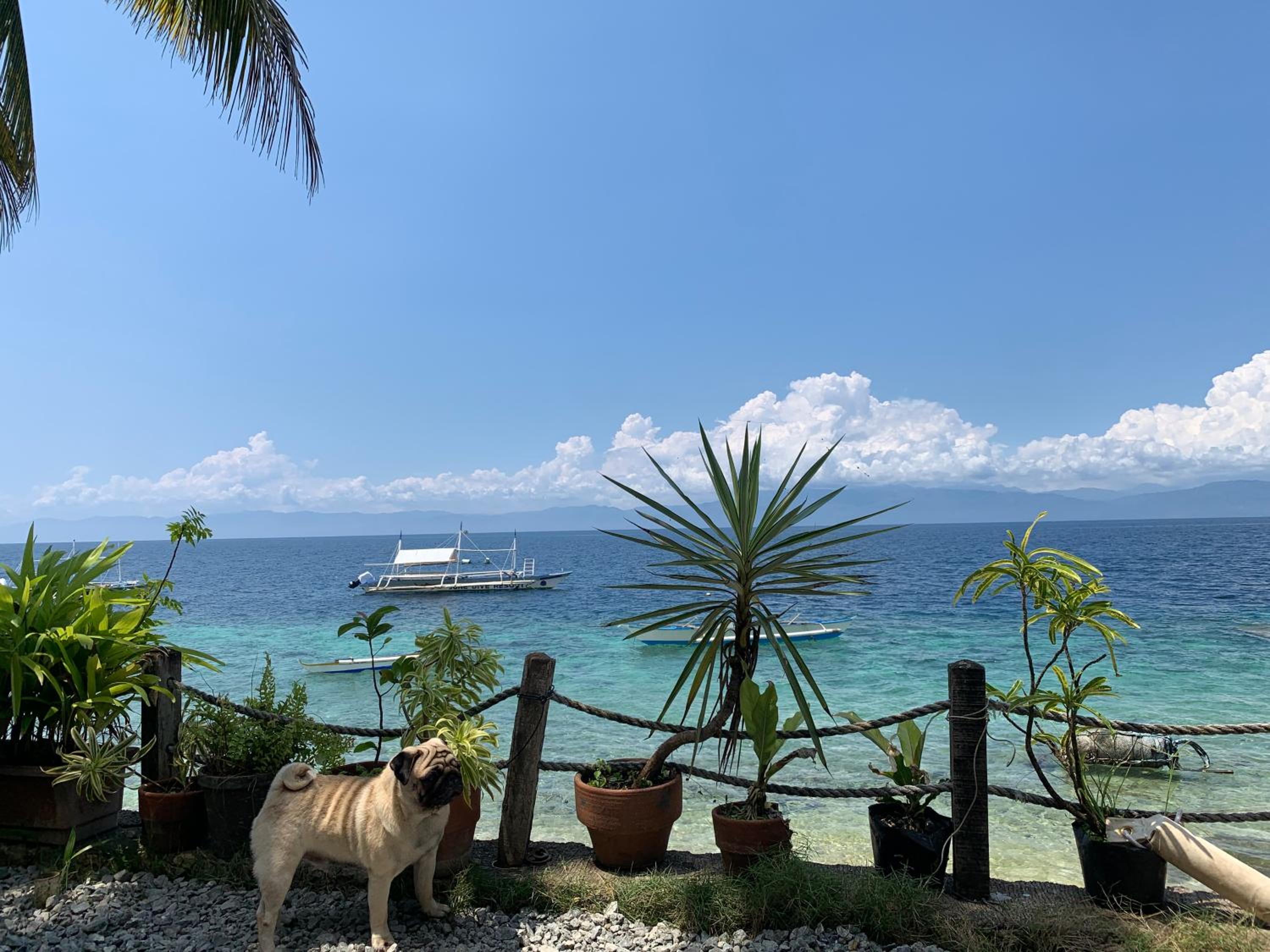 Beachfront Villa in Panagsama