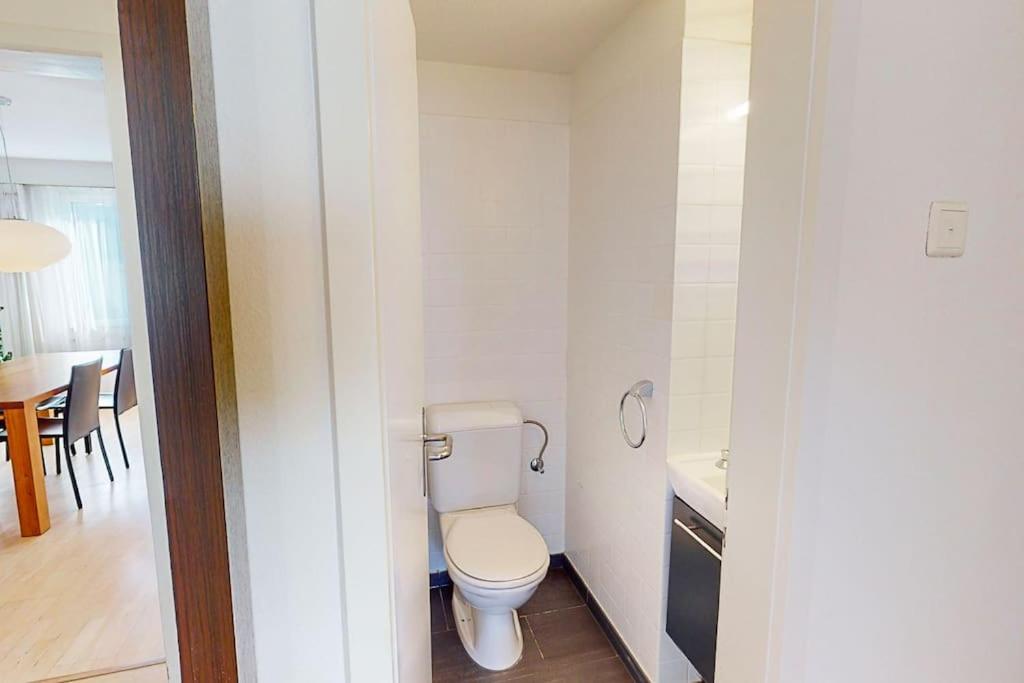 Executive 2BR apt near lake and city center - Dufour 4