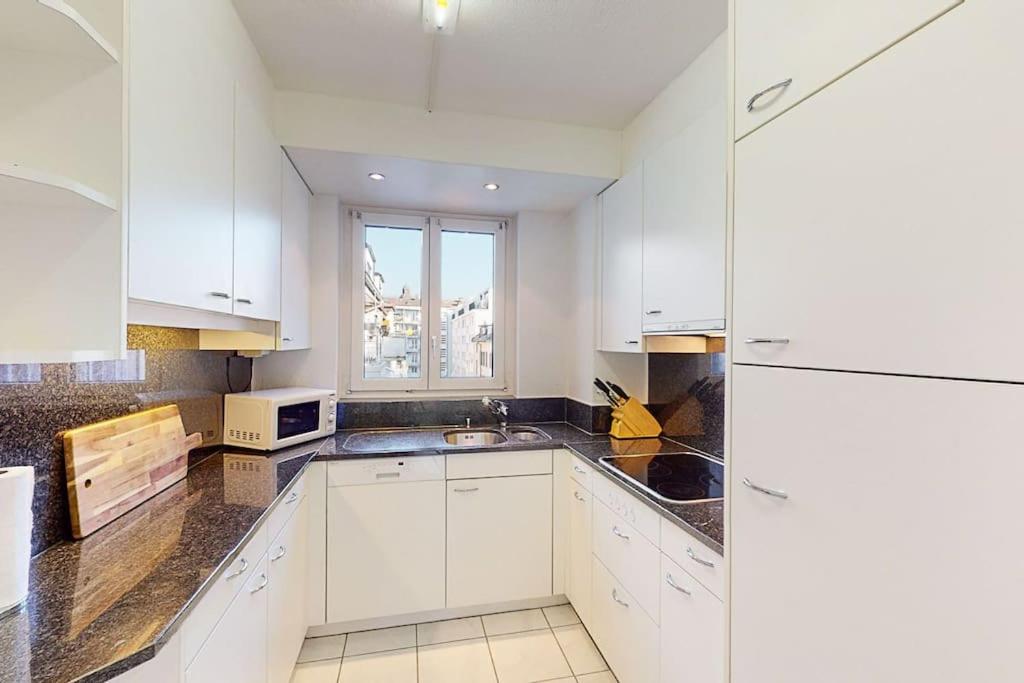Executive 2BR apt near lake and city center - Dufour 4