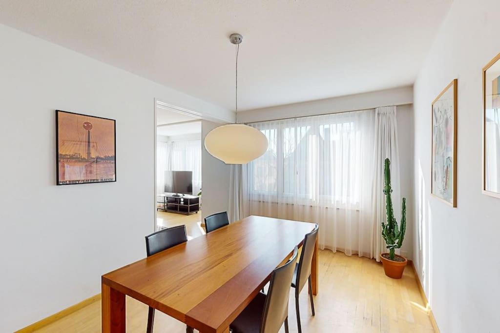 Executive 2BR apt near lake and city center - Dufour 4