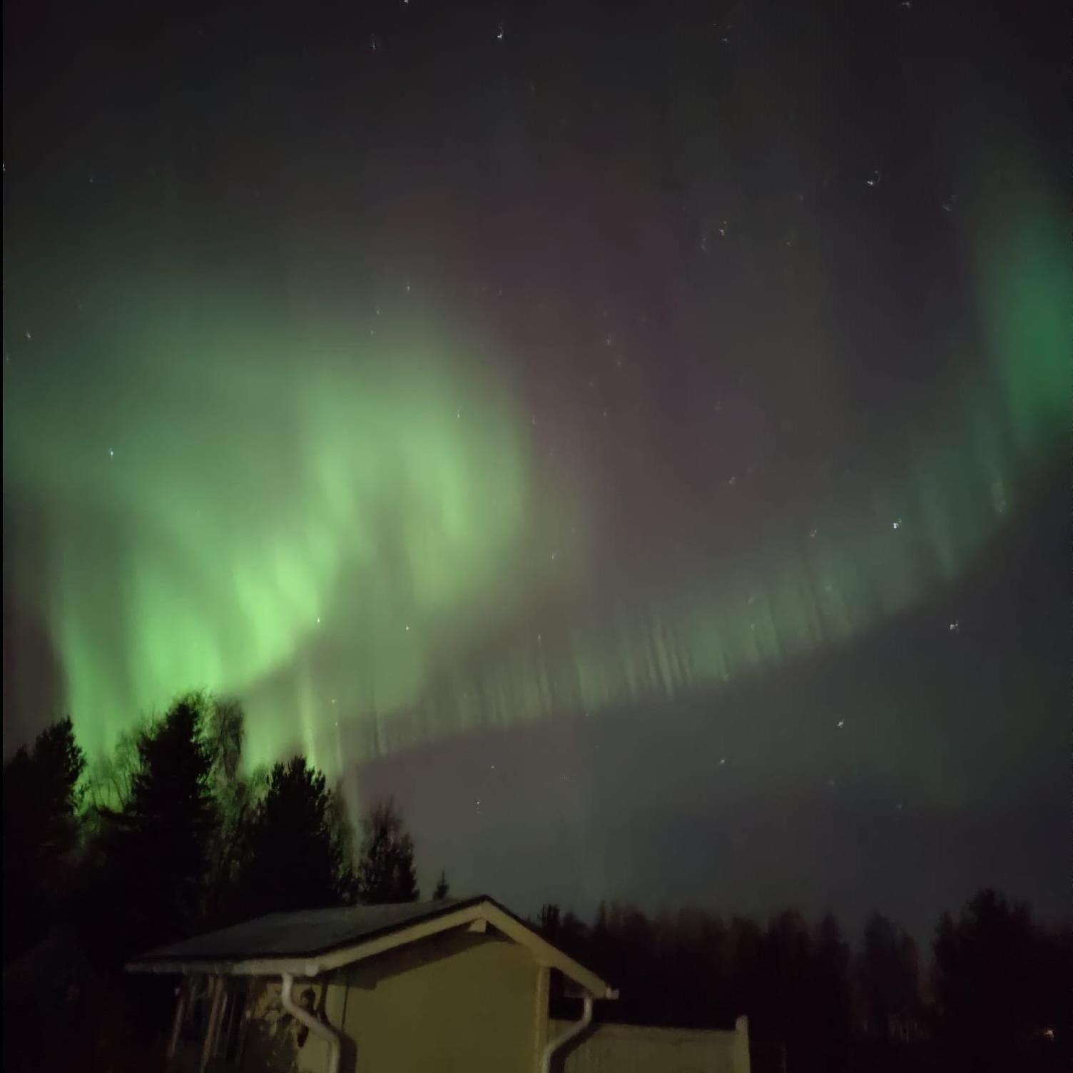 Kaamos City House