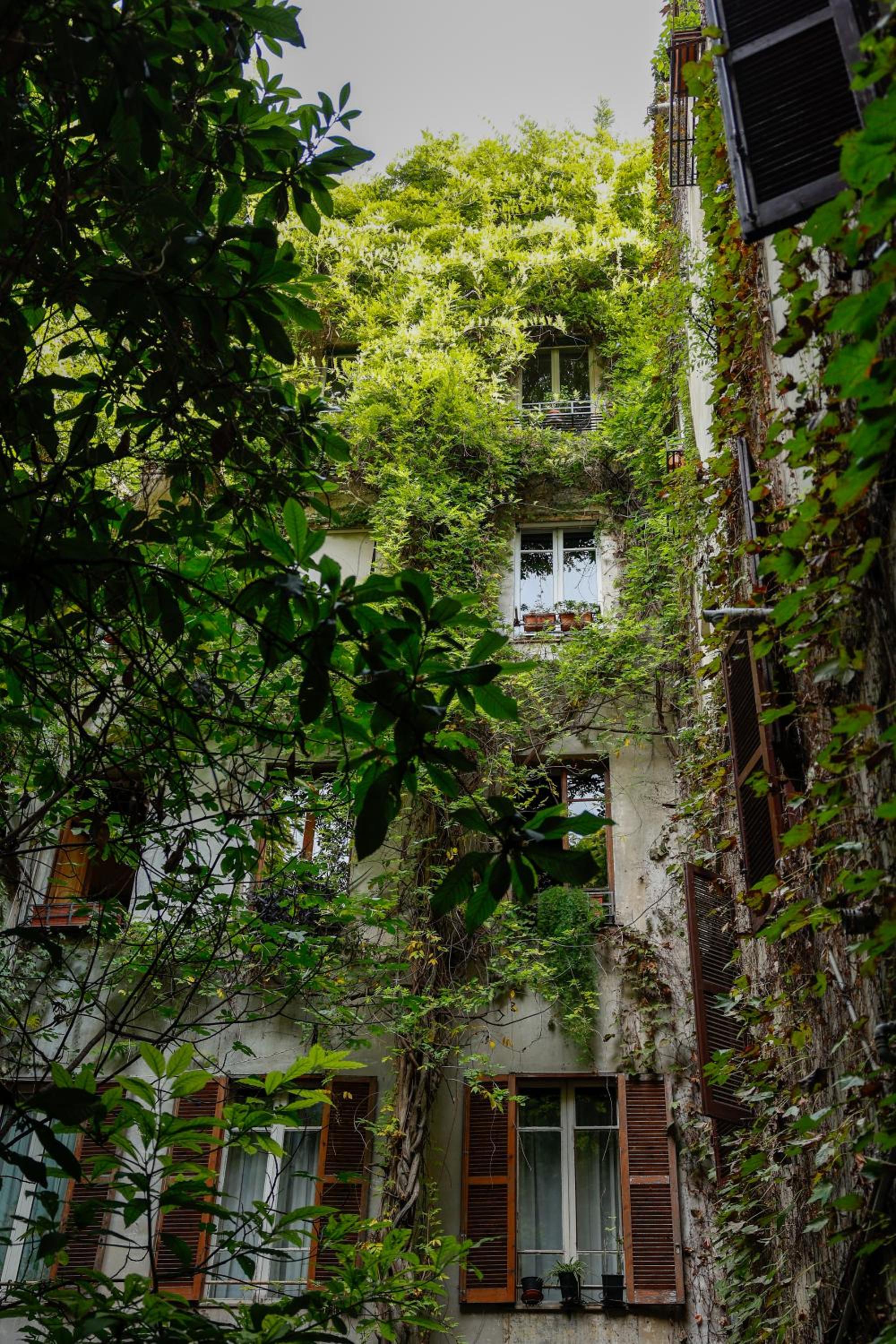 Riari House - Residenze Romanae