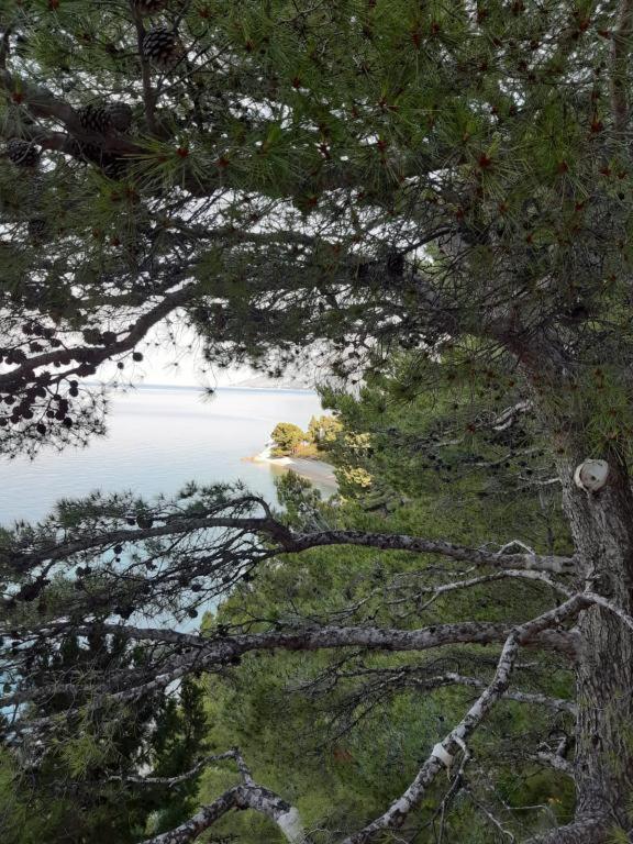 Apartmani Brela 9