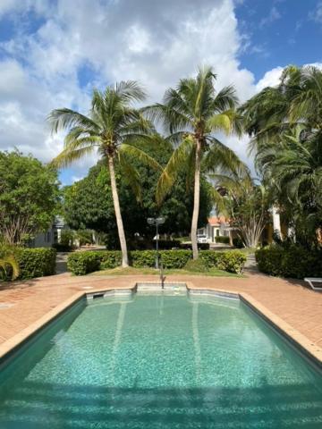 palma studio curacao