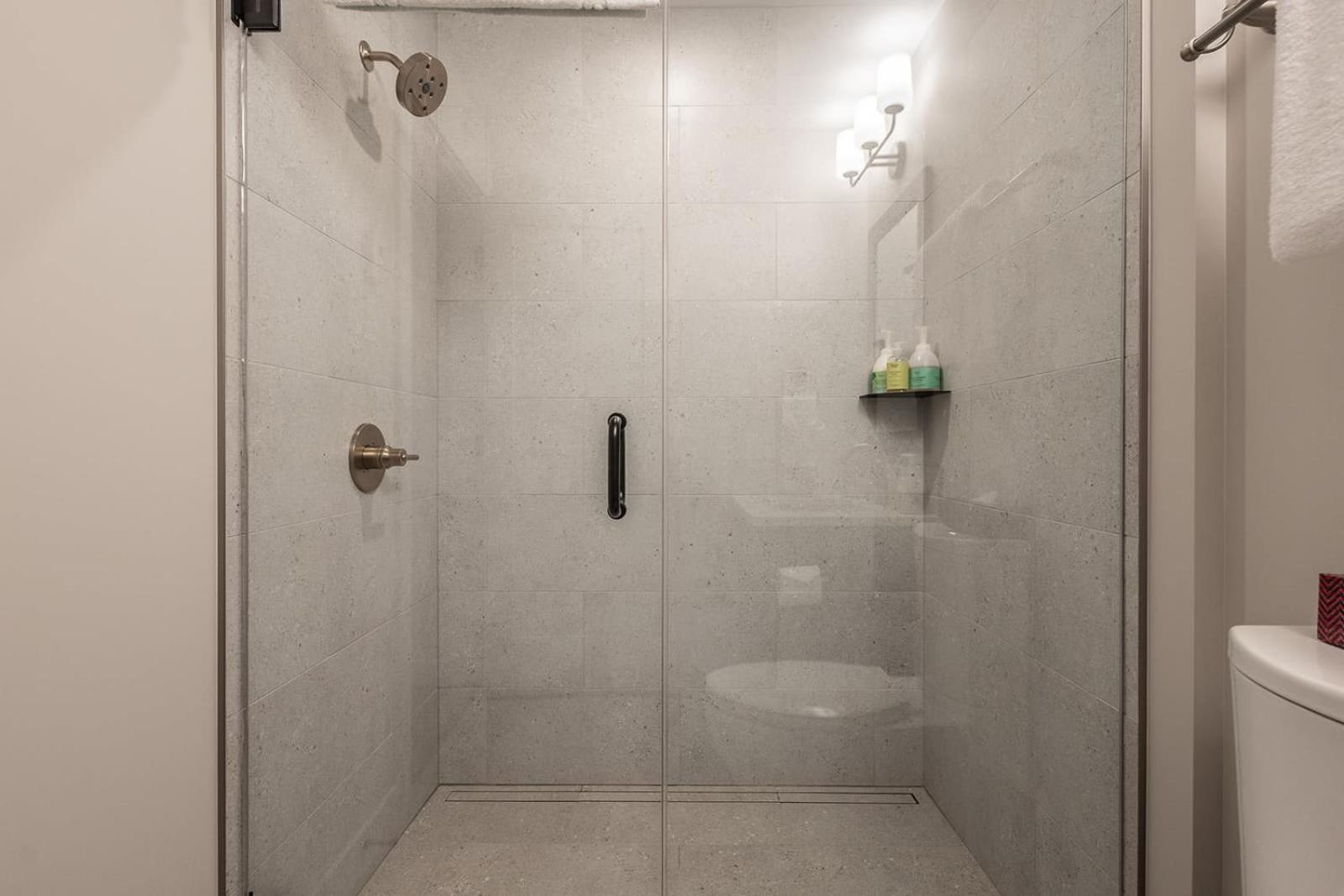 New 1Bd Luxe King Suite with Superb Mtn View