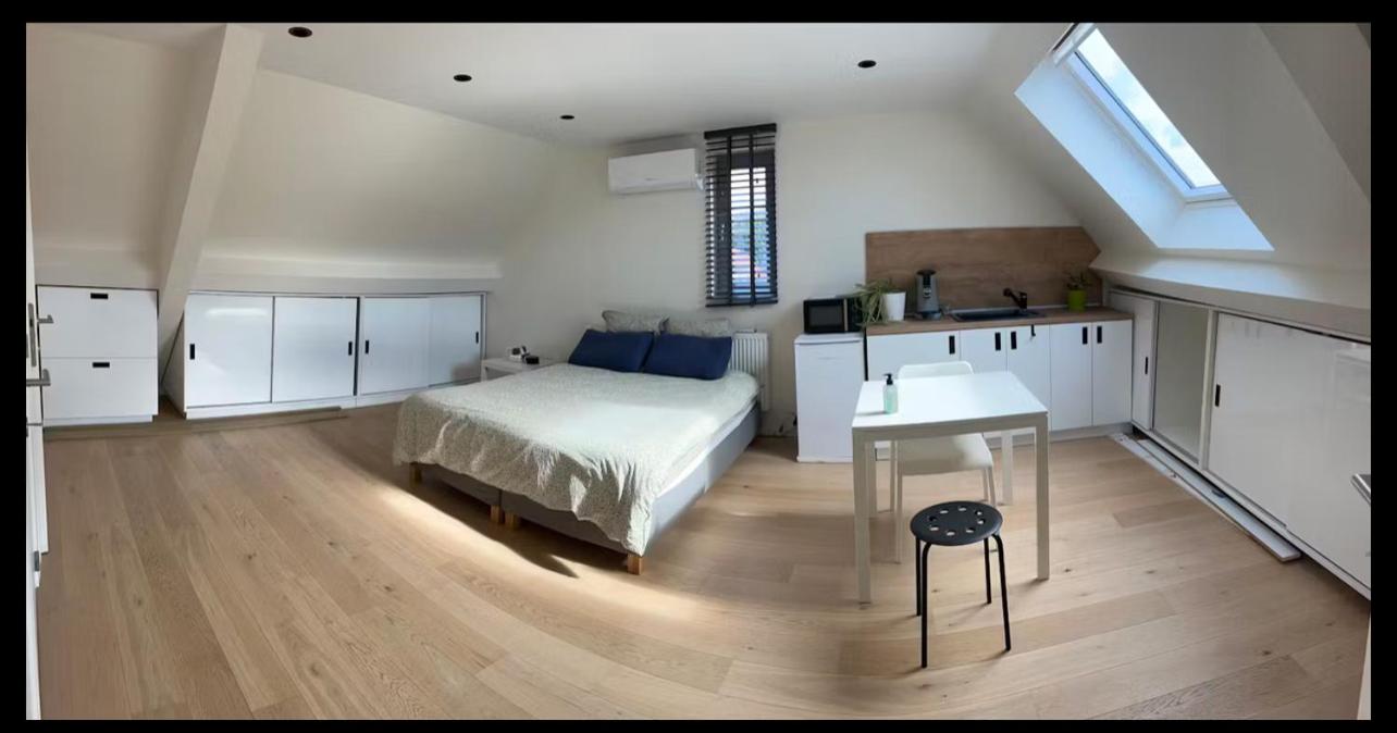Sunny attic