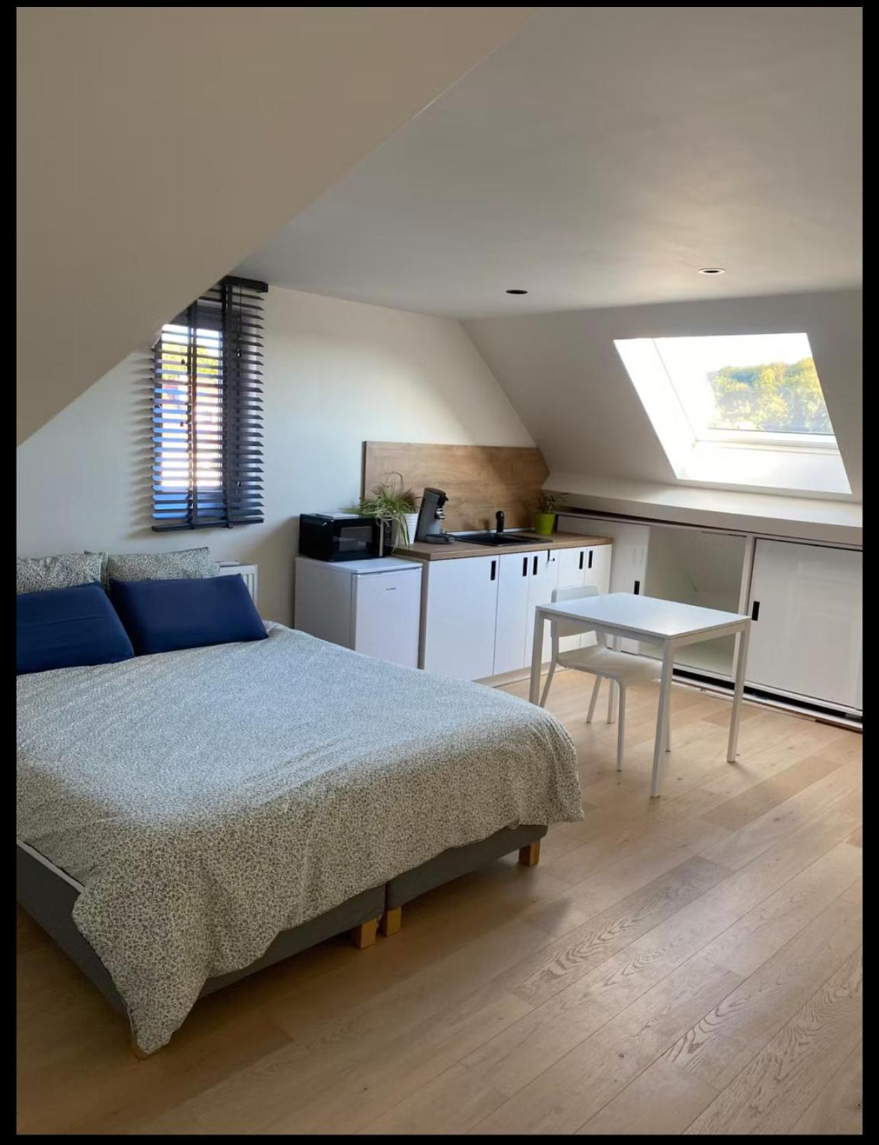 Sunny attic