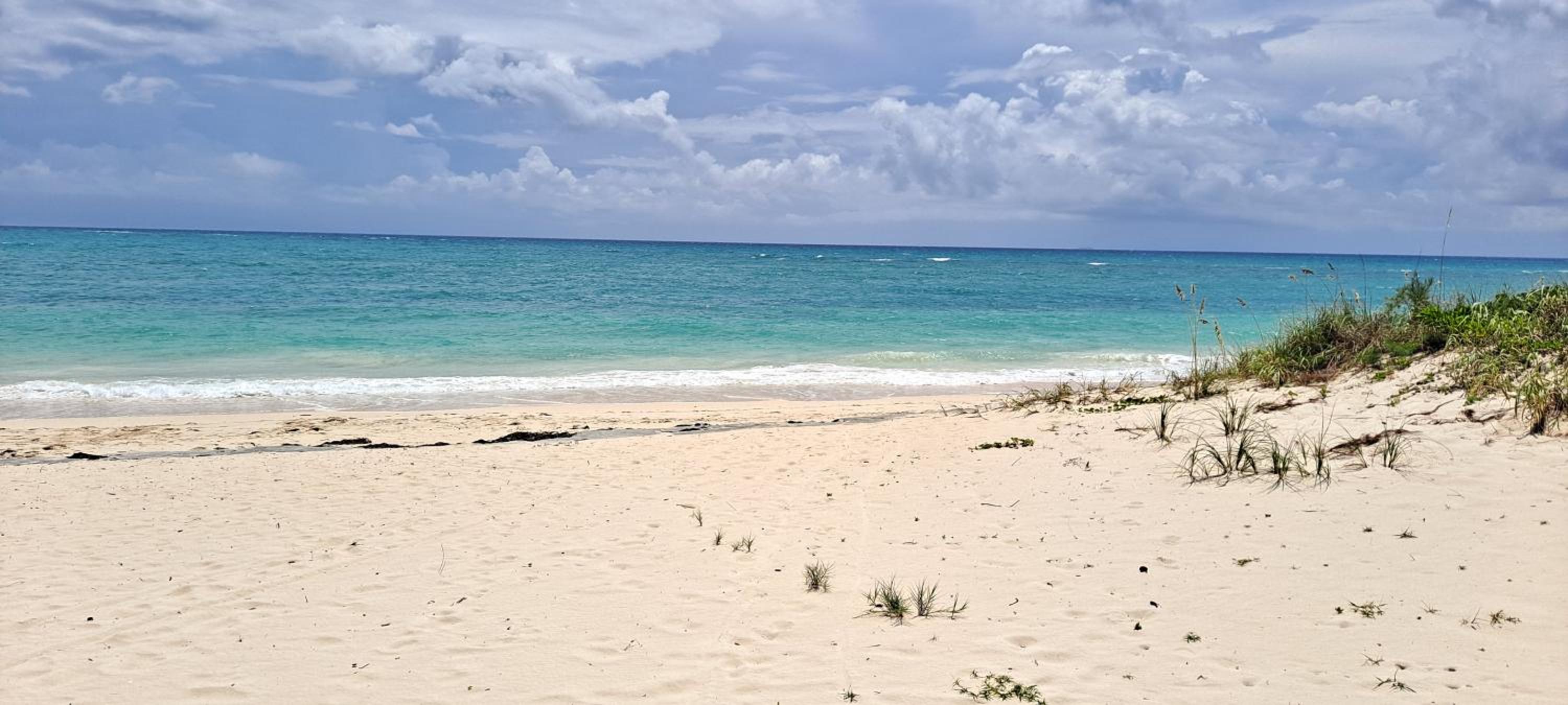 Newly Remodeled Luxury Beachfront 2-Bedroom Condo