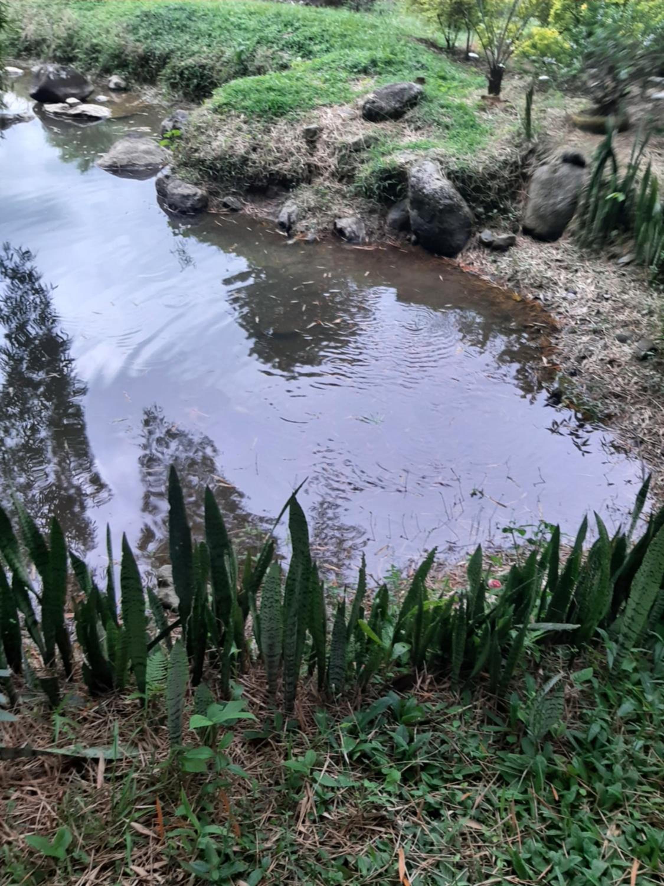 Glamping trujillo