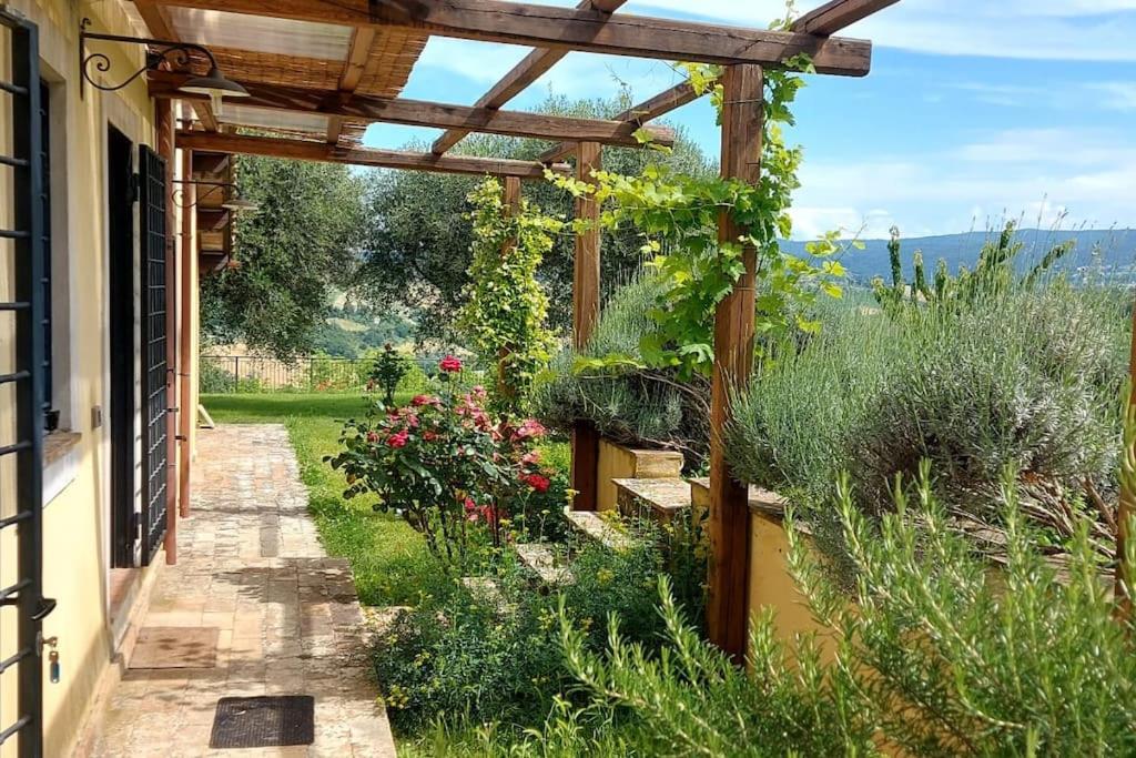 IL CASALE DEGLI ULIVI- Splendido casale panoramico con piscina a 30 min da Roma GRA