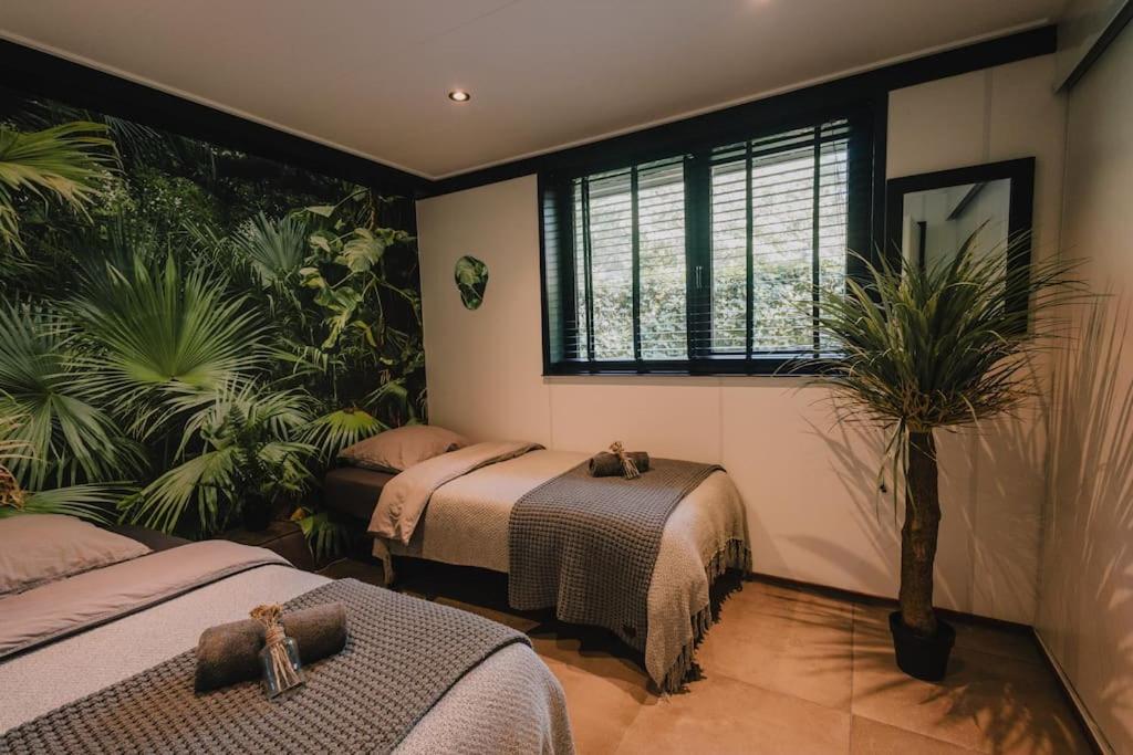 Wellness Jungle F1rst wr1te to ma1l scholz98c