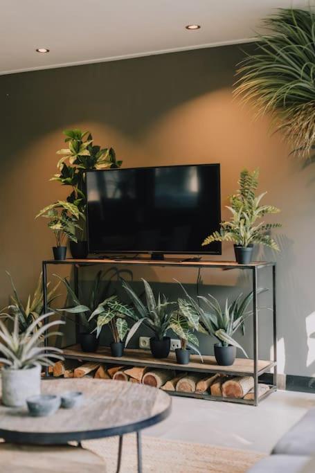 Wellness Jungle F1rst wr1te to ma1l scholz98c