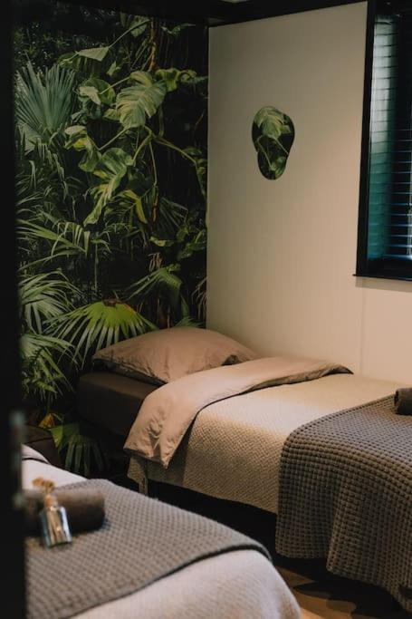 Wellness Jungle F1rst wr1te to ma1l scholz98c