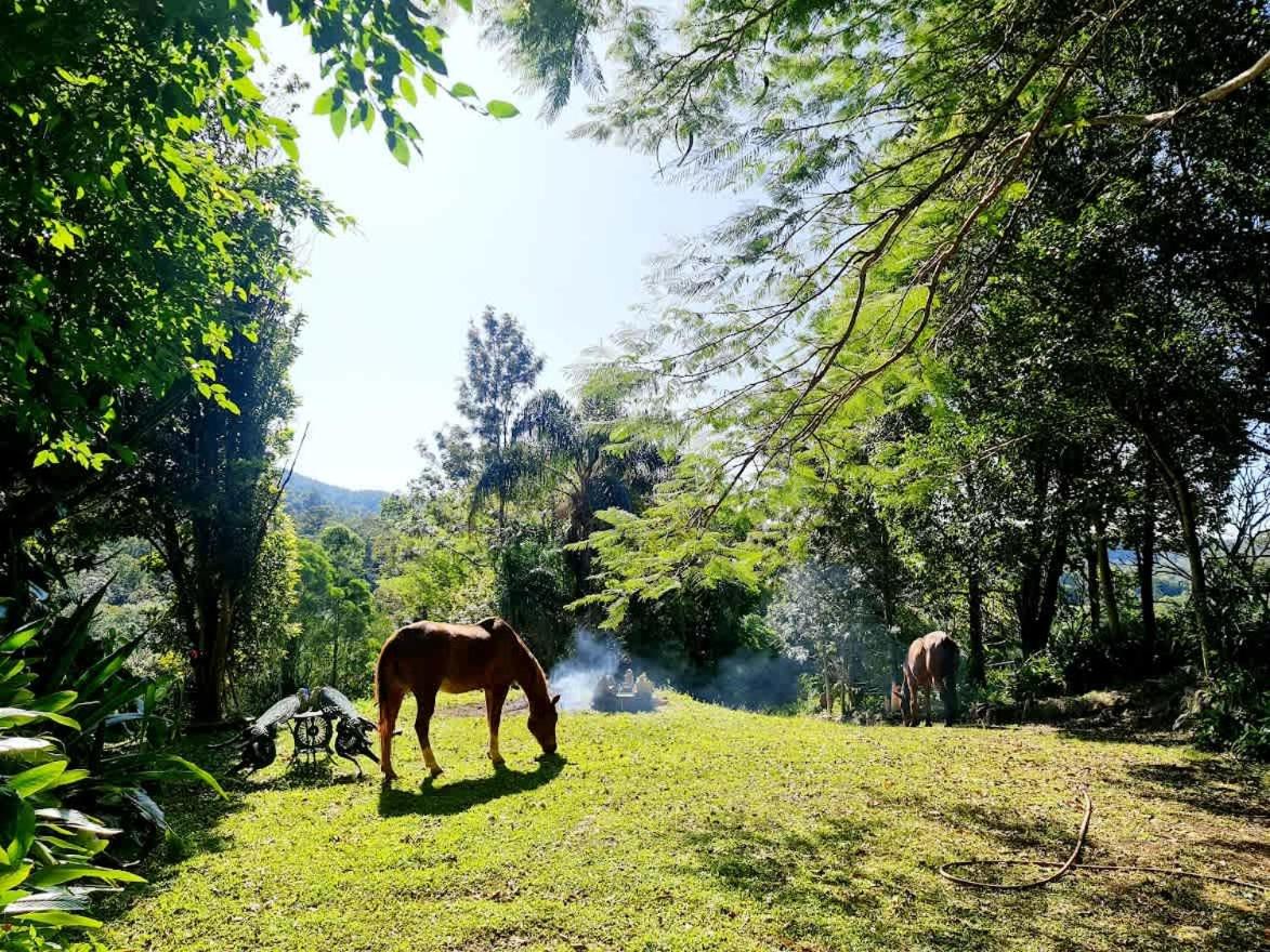 Guanaba Farm by Tiny Away