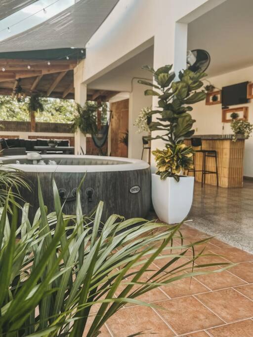 Jungle by the Beach with Jacuzzi Ocean, Bike Trail view 3