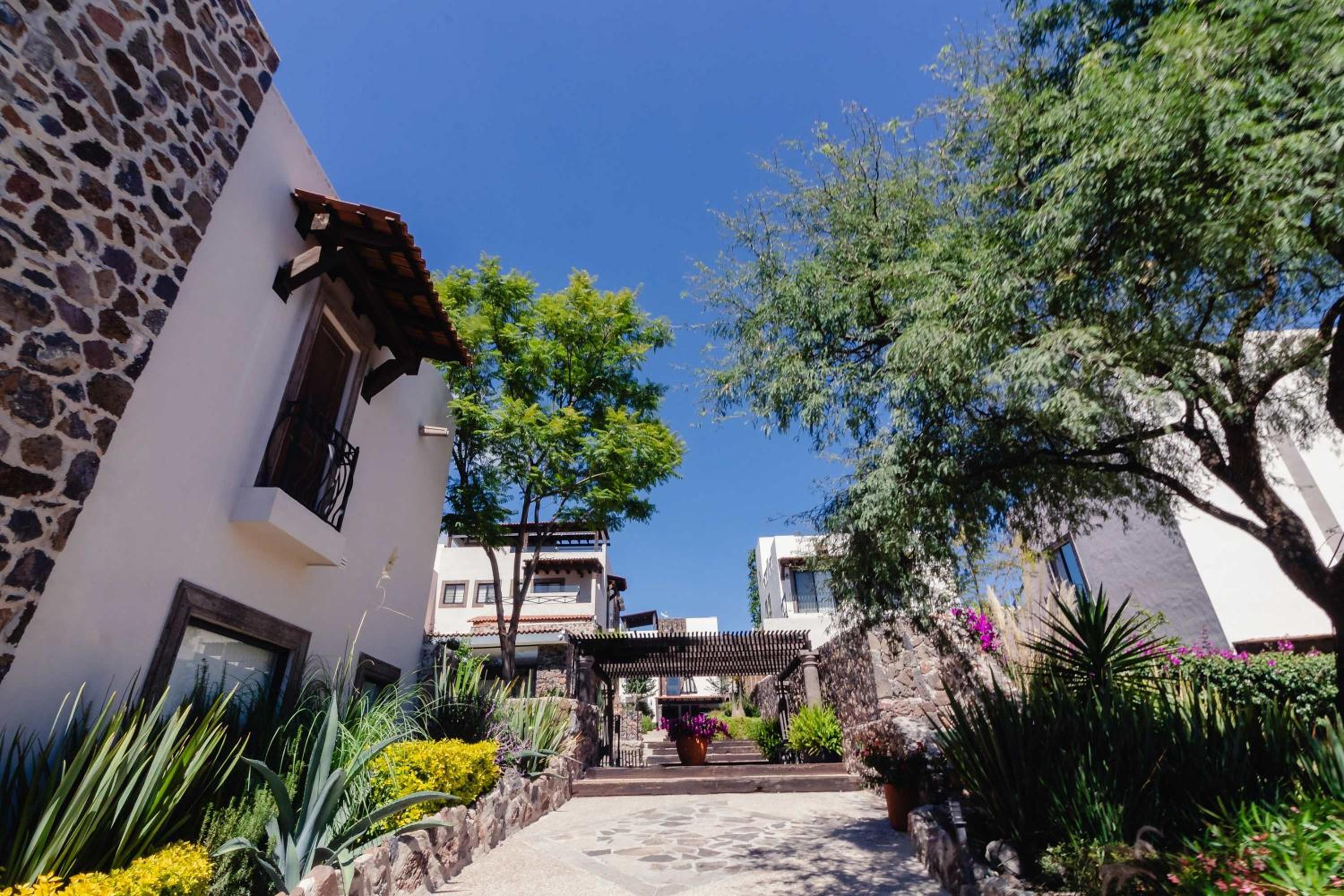 Family House with landscape garden in San Miguel