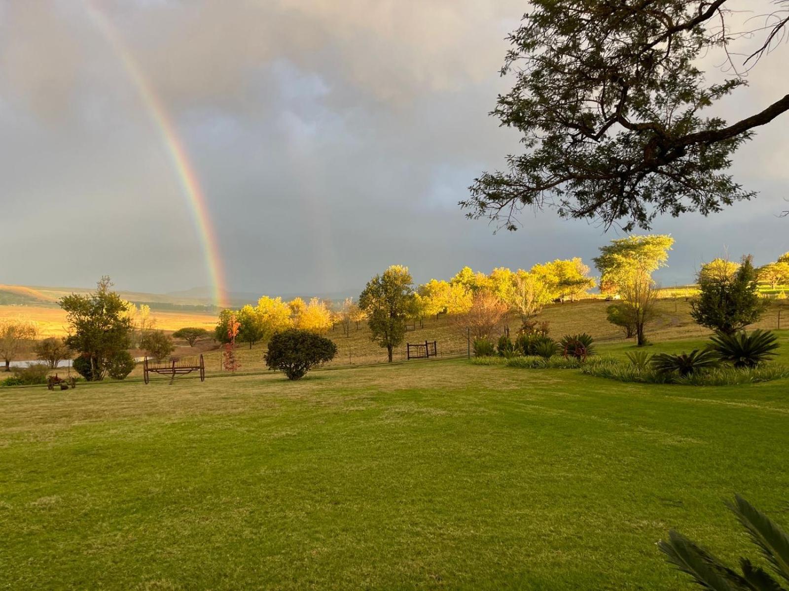 Farm Stays at Acorn Cottages view 4