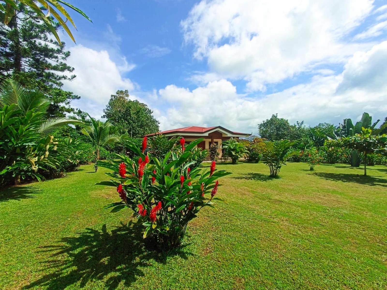 Villa Ceiba - main view