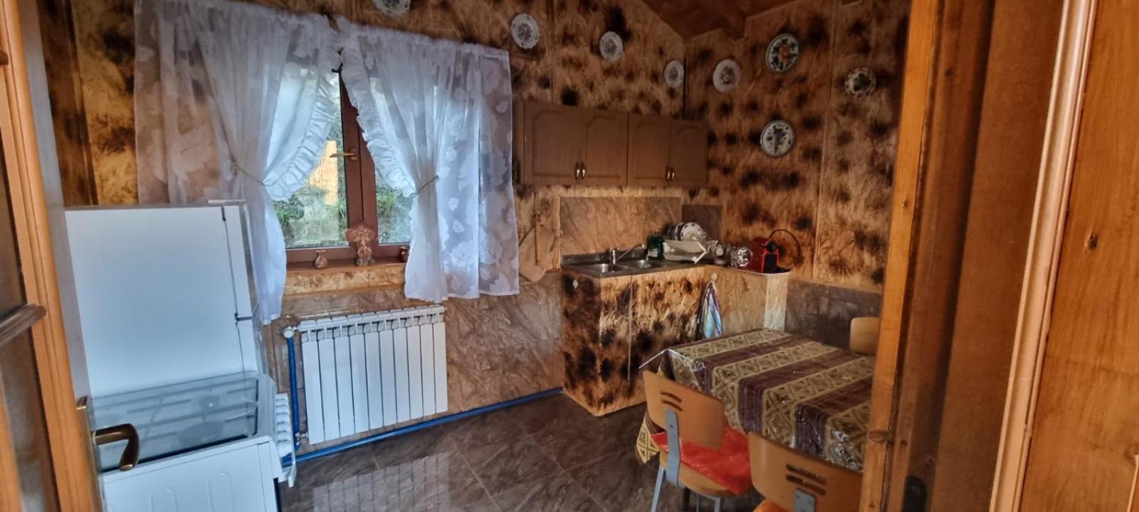 Cabana Picior de munte view 2