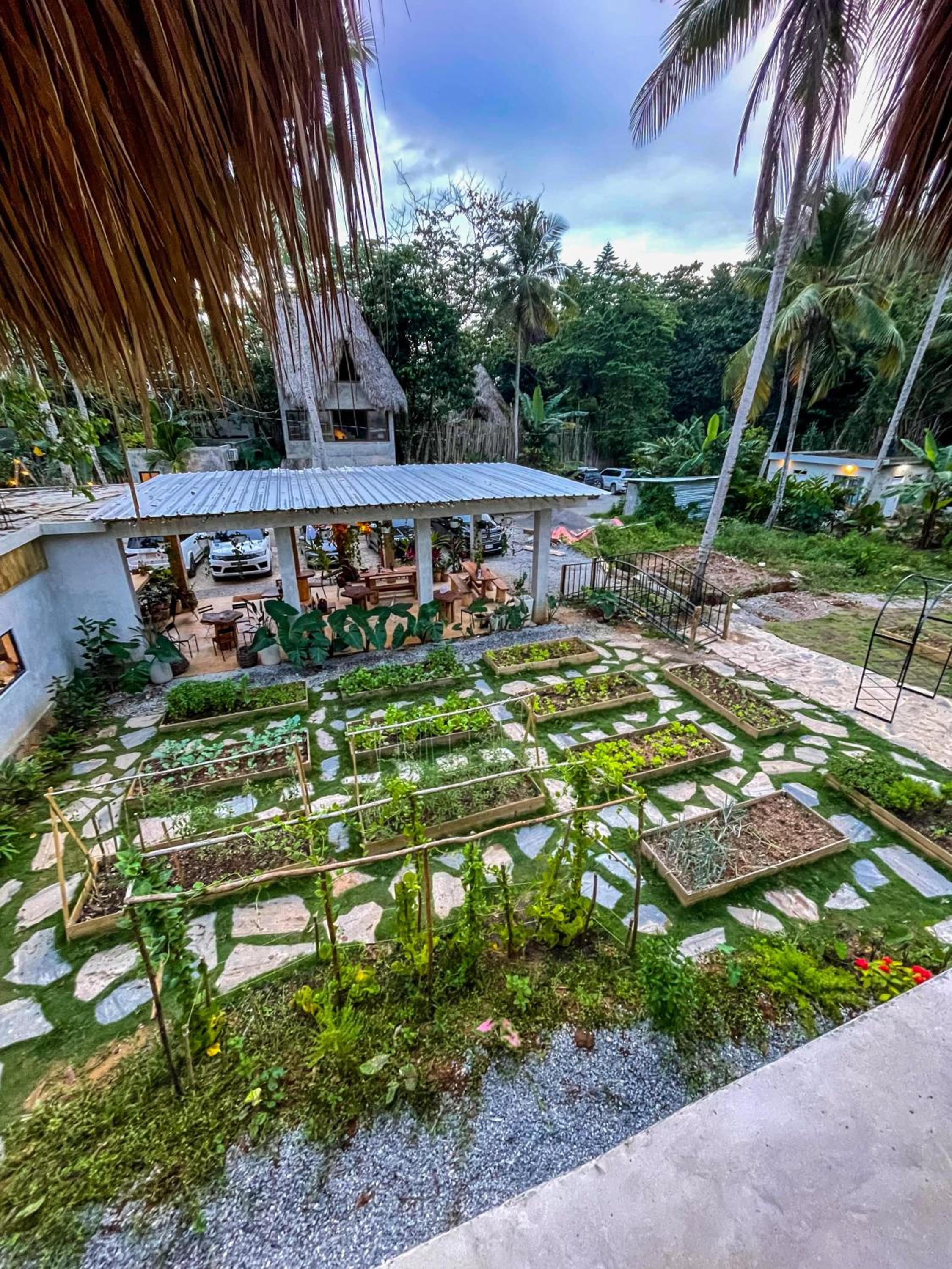 Jungle Cottage