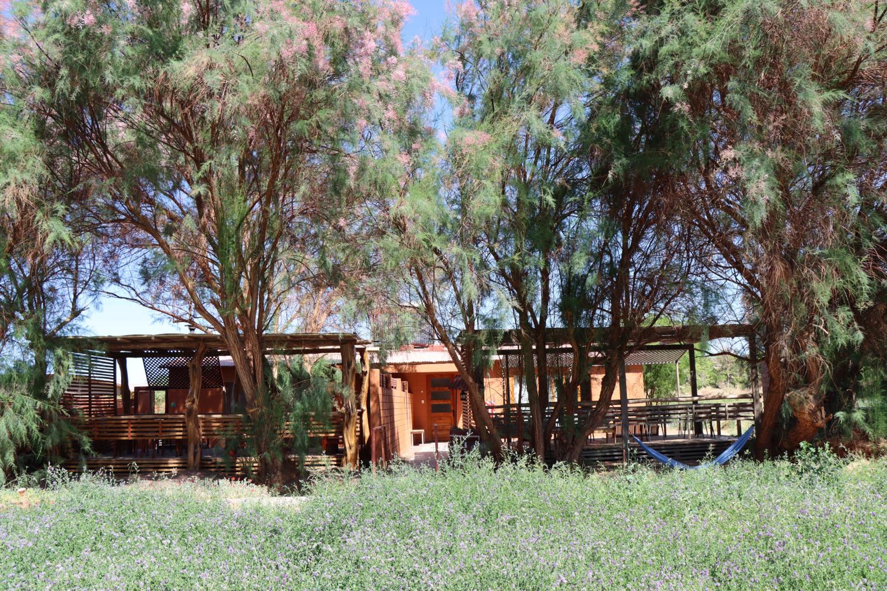 Peumayen Atacama cabaña&Hostal
