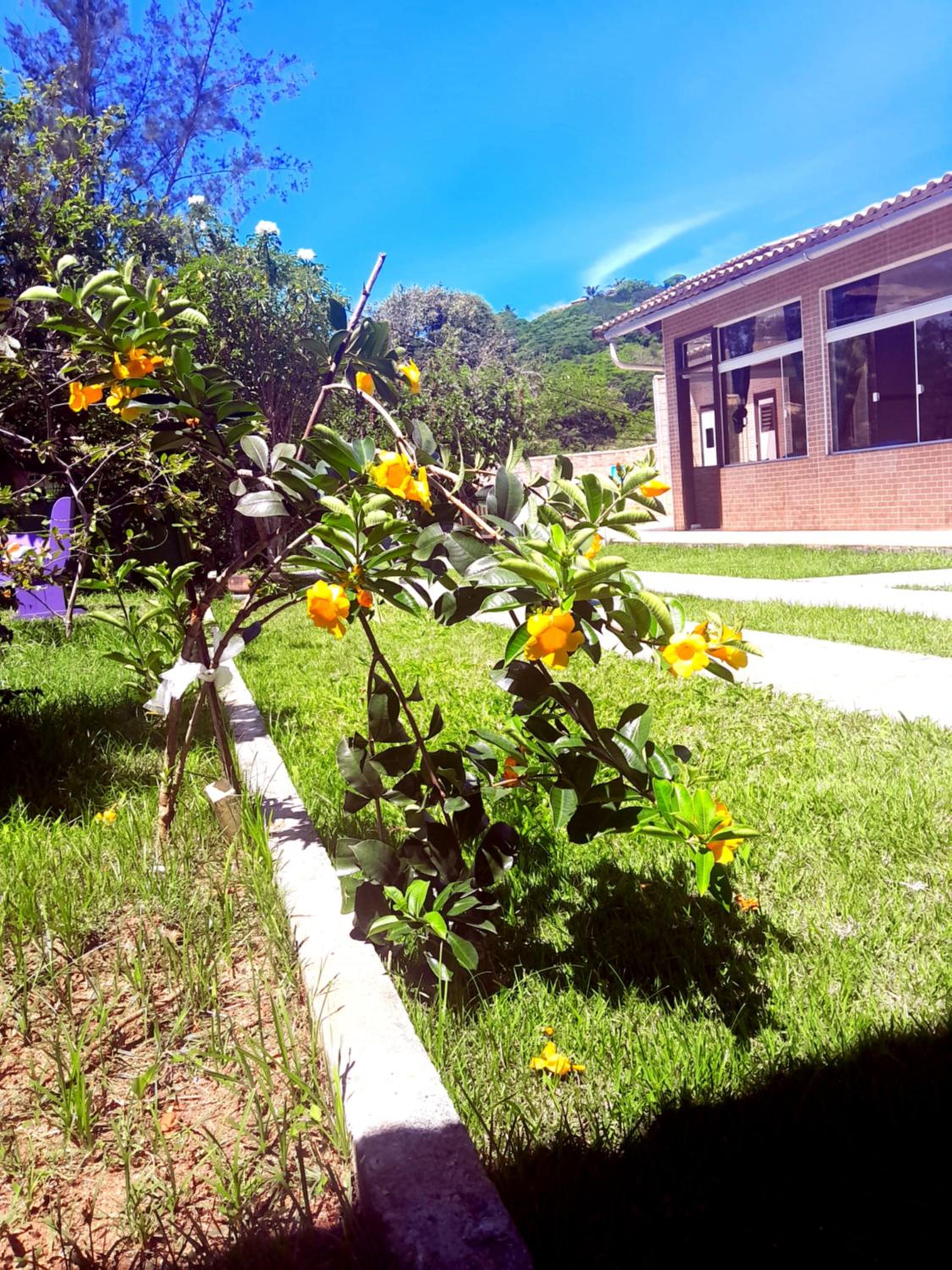Arara Pousada Búzios
