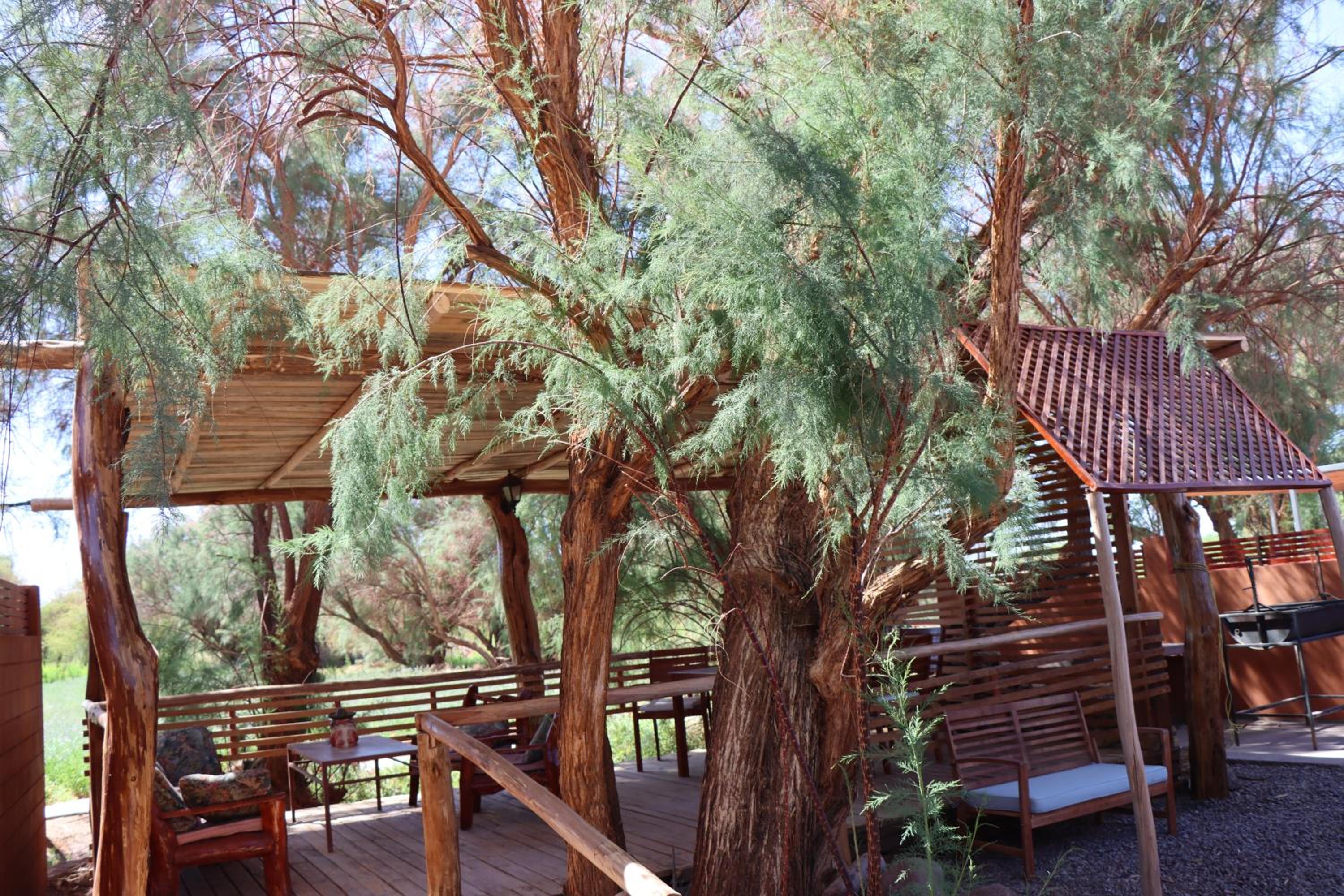 Peumayen Atacama cabaña&Hostal
